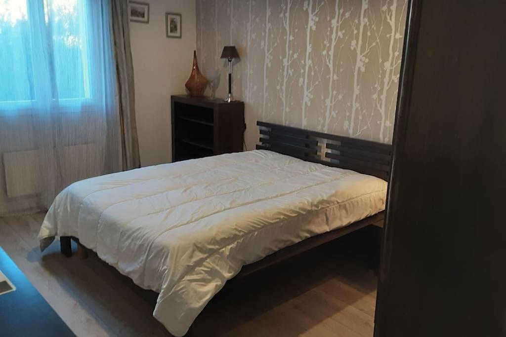 Апартаменты Grand T1 Meuble Сен-Флур Экстерьер фото